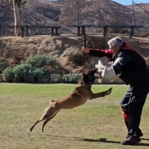 Doc’s k9 Lunatic Fringe